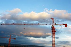 China Steel Mast Section Building Construction Cranes Rentals , Hydraulic Tower Crane Lifting factory