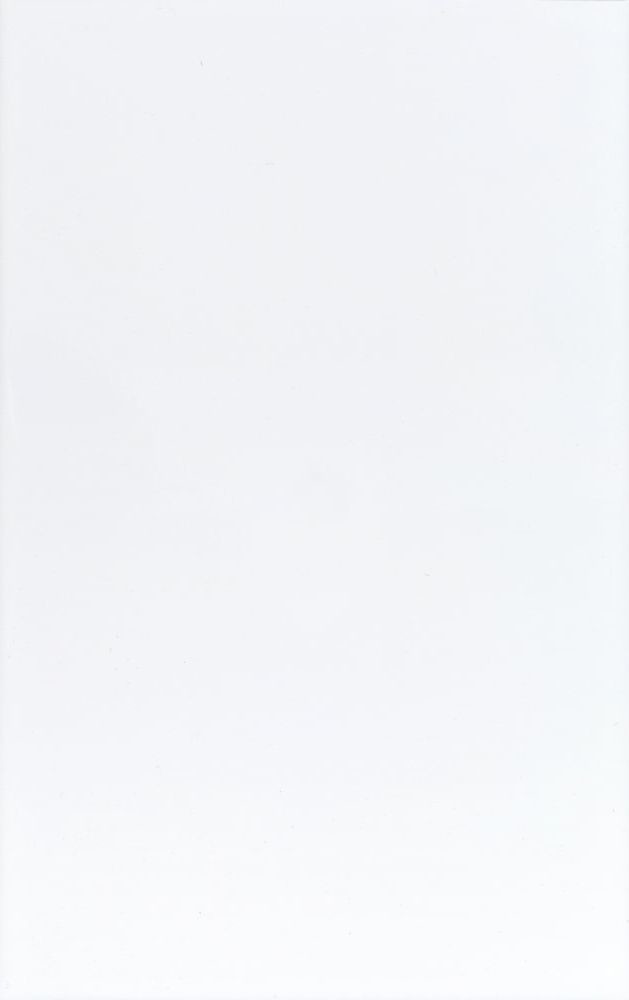 250x400mm kitchen wall tile stickers,ceramic wall tile,glossy surface,white color