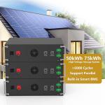 High Voltage 15kwh-750kwh Lithium Iron Battery Pack Lifepo4 51.2v 100Ah Rack