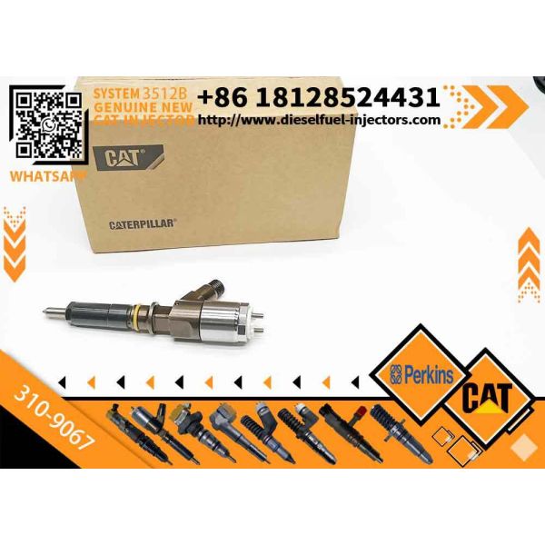 New Common Rail Injector 306-9390 10R-7674 310-9067 10R-7668 2645A751 10R-7938for diesel Engine CAT