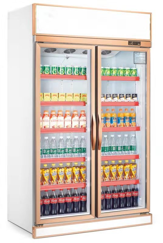 Commercial Upright Glass Door Front Refrigerated Display Freezer Case Glass 2 Door Mobile Display Showcase for Supermarket