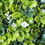Wedding Artificial Silk Flower Wall Panel Backdrop Hedges Fence Faux Ivy Vine