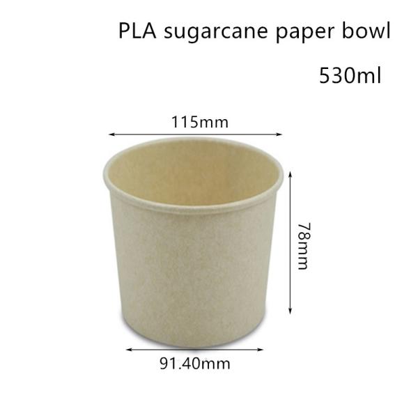 China Compostable PLA Sugarcane Paper Soup Bowl Takeaway Container factory