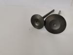 4210AX Car Engine Admission Valves For CITROEN C3 / PEUGEOT 208 1.5 8V