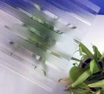 Flexible Clear Polycarbonate Corrugated Sheet For Greenhouse Roofing