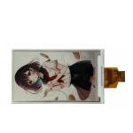 4.36 Inch Four Colors E-Paper Displays 480X800 Resolution SPI Interface Driving