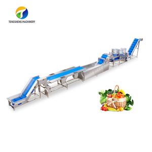 China Automatic Fruit And Vegetable Processing Line Selection Washing Drying factory