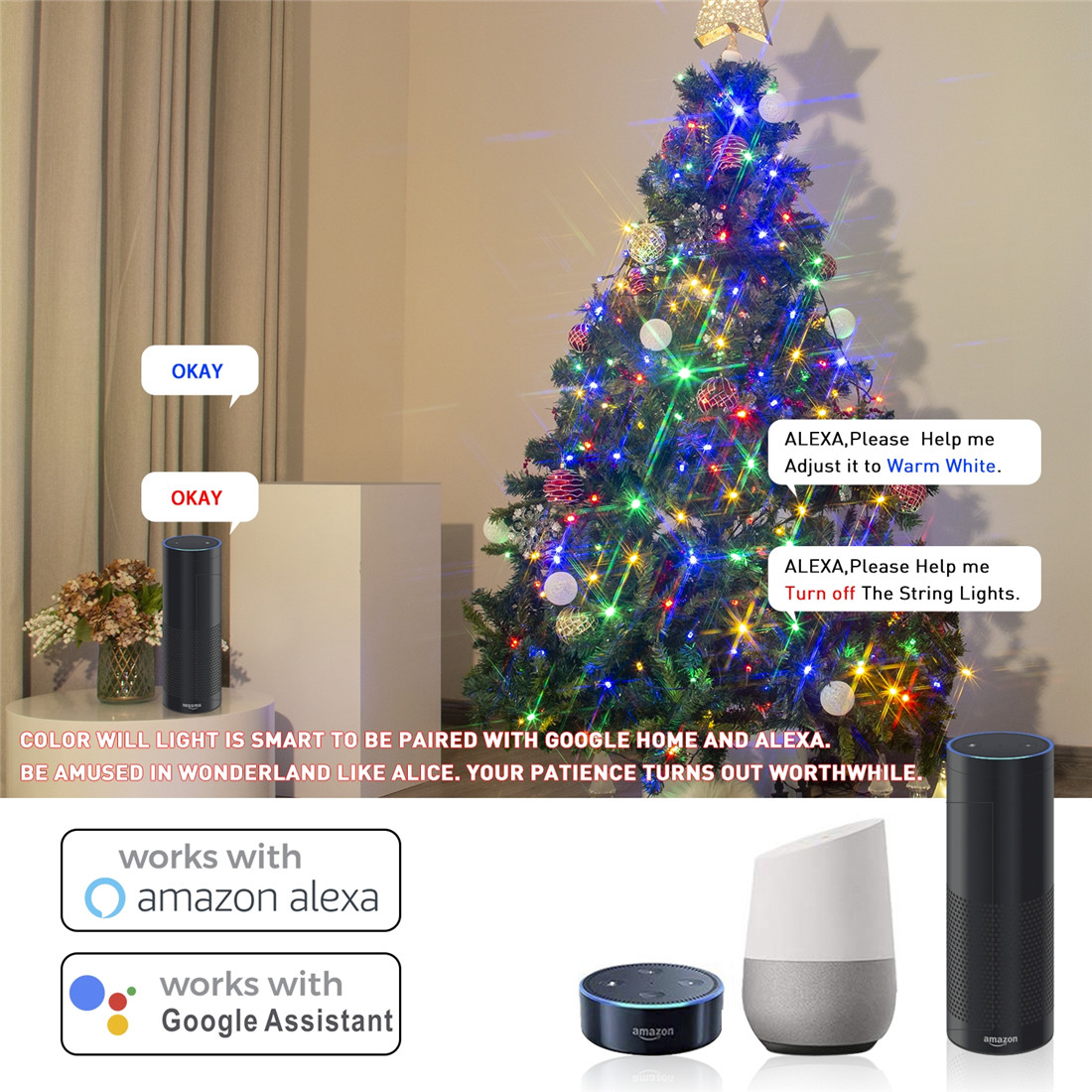 Voice Controlled 100L App String Light