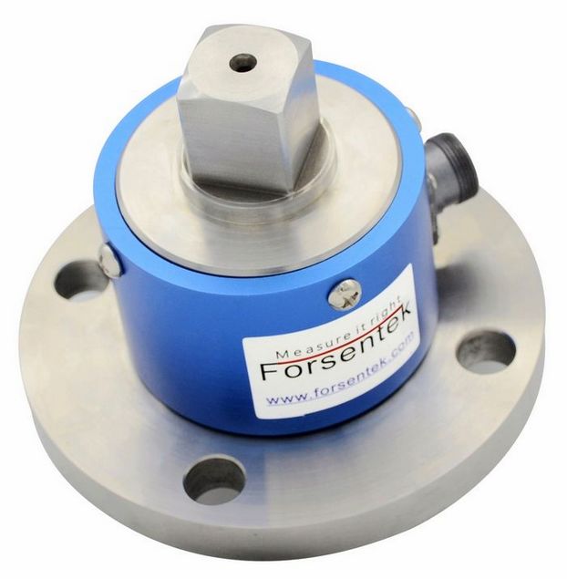 Drehmomentsensor statisch