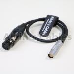 XLR 4 Pin Female To Lemo PHG 2 Pin Female Straight Cable For Nagra V