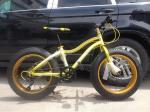 OEM 21 Speed 20 Inch Fat Tire Electric Bike