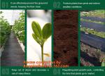 PP woven weed mat,ground cover, black fabric,weed barrier for agriculture, weed