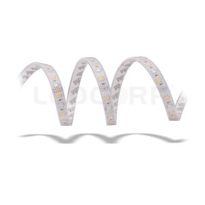 China 24V High Brightness RGBW LED Light Strips Flexible 15.6 W 72 LEDs / M on sale