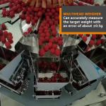 Clamshell Fresh Fruit Vegetable Packing Machine Kale Spinach Cherries Strawberry