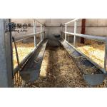ASTM Standard Steel Grade Prefab Agricultural Building for Cattle and Sheep