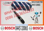 Common Rail Fuel Injector Diesel Injectors 04290988 0986435559 0445120065