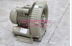 220V Air Blower Outdoor Pond Pump For Swimming Pools Using F Class