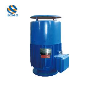 China NEMA Vertical Hollow Shaft Motor IP54 380V 660V 3 Phase 50HZ 1450rpm 75kw VHS Motor factory