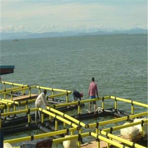 China PE Bracket Square Floating Fish Cage Excellent Flexibility Hygienic Safety factory