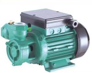 China Db Series Electric Peripheral Water Pump 1hp 100% Output Products factory