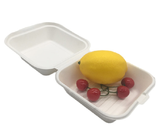 China 6" Biodegradable Takeout Containers factory