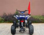 Front / Rear Disc Brake Four Wheelers For Adults , 110cc Four Wheeler Electric