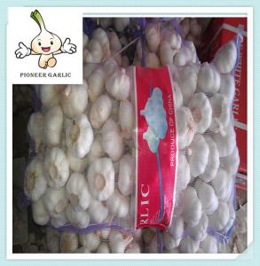 China New Fresh White Garlic -10kg/carton best design earnest fresh garlic factory