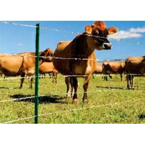 China Budget V Mesh Security Fencing Basic Protection factory