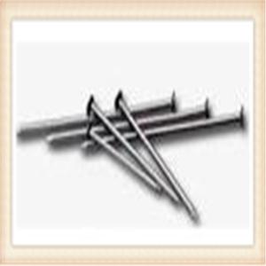 China Electro galvanized common wire nail/common iron wire nails/bright common nails factory factory