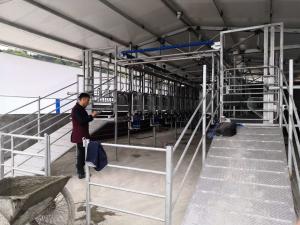 China Customizable SUS304 Goat Herringbone Milking Parlor factory