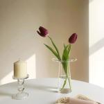 Family Decorative Crystal Borosilicate Glass Vases