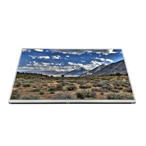 China 21.5 Inch IPS Screen Display DV215FHM-NN0 Display Module RGB 1920×1080 factory