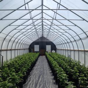 China USA Market Single Tunnel Automated Greenhouse Blackout Systems For Herb Growing factory