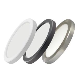China Ultra Thin LED Flush Mount Light factory