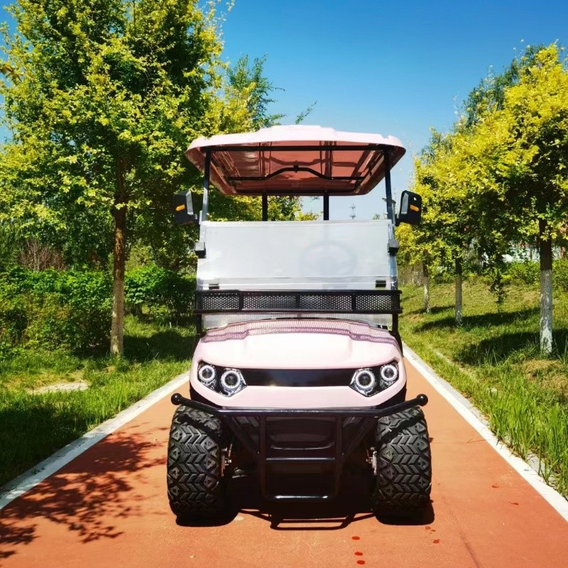 Pink Color 60V 4KW AC System EV Golf Cart New Energy Off Road Electric Golf Cart