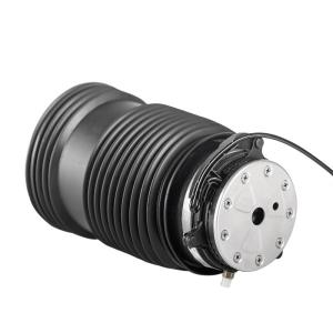 China A2133200125 A2133200225 Air Suspension Spring For Mercedes W213 factory