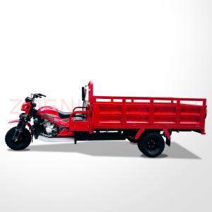 China 50 * 100 Motorized Cargo Trike 250cc Three Wheel Motorcycle Fuel Type Petrol Gasoline factory