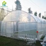 Greenhouse Tunnel Single-span Plastic Film for Agricultural Vegetables and