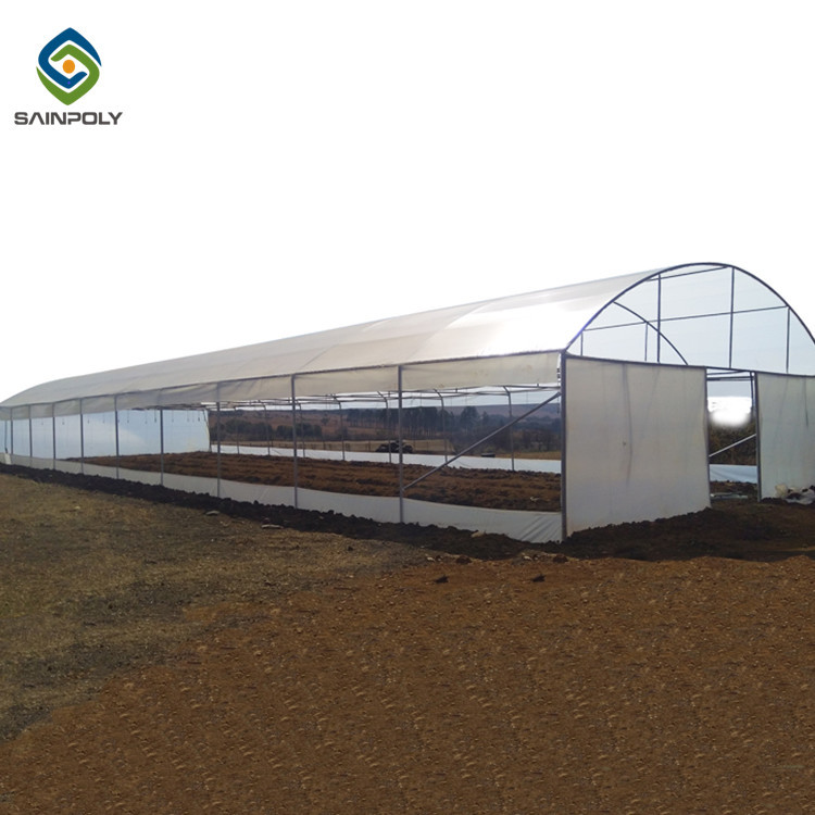 China 0.20mm Cucumber Plant Pe Film Single Tunnel Greenhouse factory