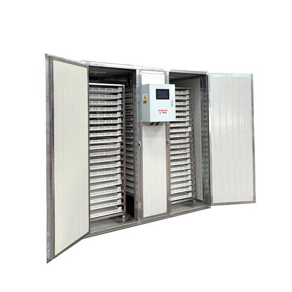China Energy Saving Electric Heating Food Drying Equipment Beef Chicken Seafood Fish And Shrimp Drying Oven factory