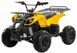Electric Off Road 4 Wheel Bike All Terrain Vehicles CPSC Four Wheeler Off Road