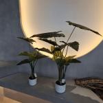 Hypoallergenic Plastic Artificial Plants Realistic Uv Resistant 70-95CM