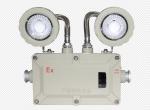High Lumen Powered 2*3w Waterproof Flameproof Explosion Proof Emergency Light
