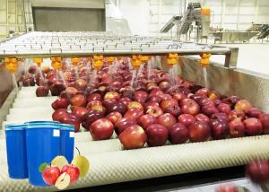 China SUS 304 Apple Juice Processing Production Line apple processing equipment factory
