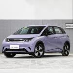 Compact Pure Electric EV Cars SUV BYD Dolphin New Energy Vehicles