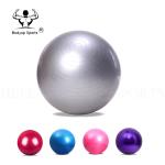 1 Tons Bearing Strength Gym Exercise Ball With Anti Slip Surface
