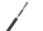 Non Metallic Fiber Optic Cable 24 48 96 144 288 Cores Moisture Proof