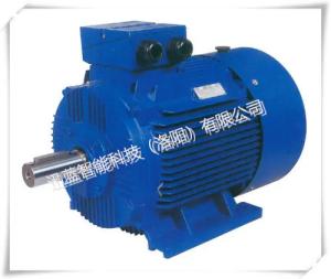 China Energy - Saving Rare - Earth Material Electric Motor For Vehicle factory