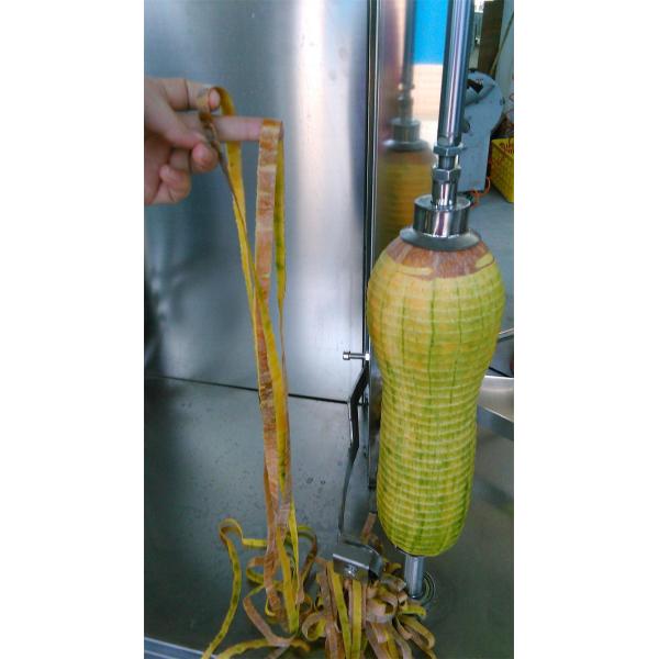 Fruit peeling machine