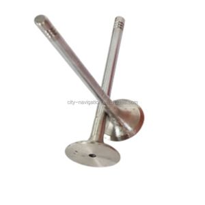 Engine Valve for Lavida Sagitar T-ROC Jetta CC MT Tiguan A4 A6 A8 C6 C7 Q5 Q7 1